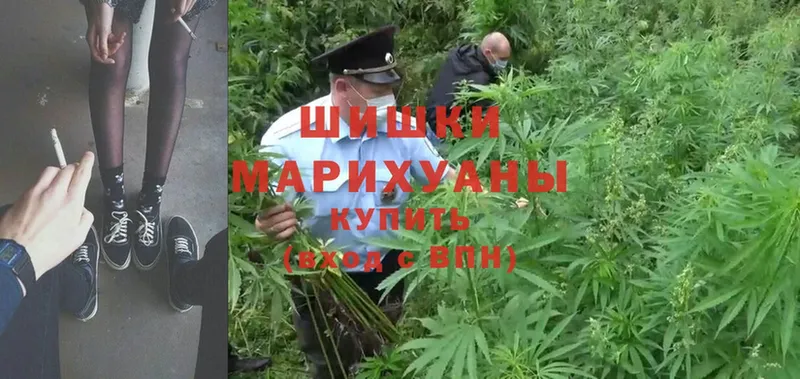 Бошки Шишки Ganja  MEGA ONION  Анжеро-Судженск  магазин   